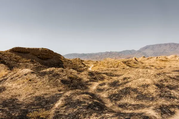 Antik Panjakent kalıntıları, Tacikistan 'daki eski yerleşim yerleri.