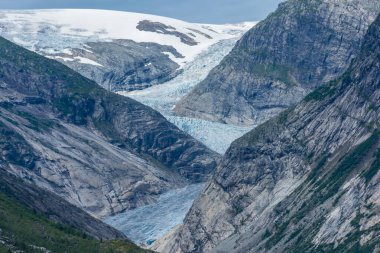 Norveç 'teki Nigardsbreen eriyen buzulunun ve ormanın manzarası