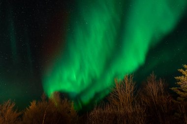 Göz kamaştırıcı yeşil aurora borealis yıldızlı gökyüzünde kırmızı nüanslar, İzlanda 'nın kuzey ışıkları