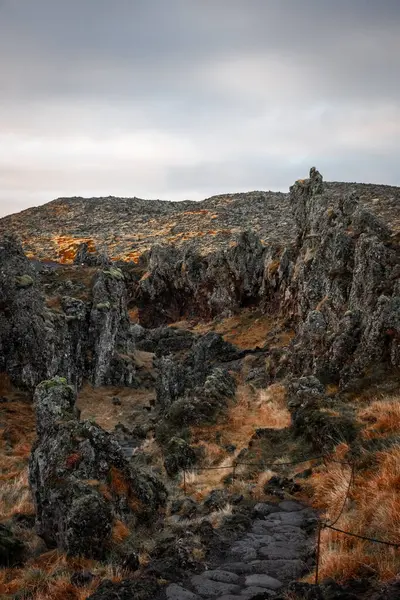 Formación Lava Arnastapi Islandia — Foto de Stock