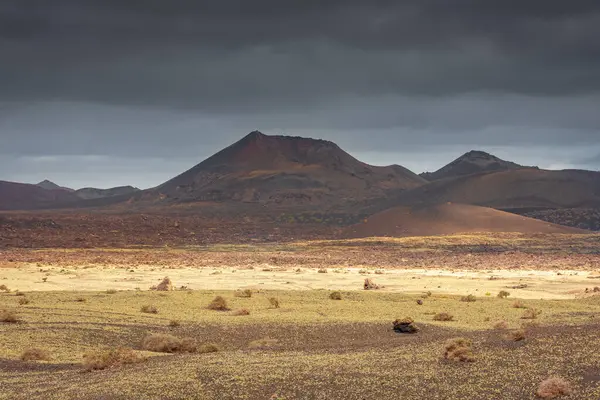 Wild Volcanic Landscape Timanfaya National Park Lanzarote Canary Islands Spain ロイヤリティフリーのストック画像