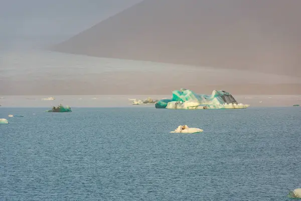 Schöne Landschaft Der Eisberge Der Gletscherlagune Island Stockbild