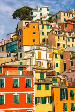 Riomaggiore şehir merkezinin renkli binaları, Cinque Terre, İtalya