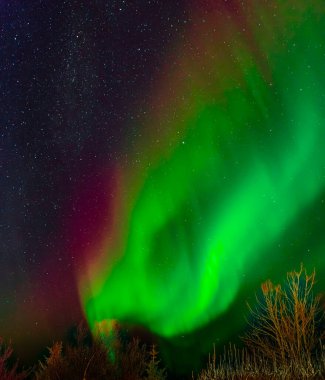 Göz kamaştırıcı yeşil aurora borealis yıldızlı gökyüzünde kırmızı nüanslar, İzlanda 'nın kuzey ışıkları
