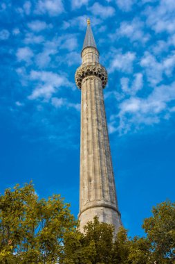 Ayasofya Minaresi ve İstanbul, Türkiye 'de sonbahar yaprakları