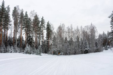 Beautiful snowy forest, winter landscape in Finland