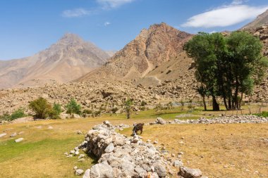 The beautiful valley of the Fann Mountains, Seven Lakes hiking trail, Tajikistan clipart