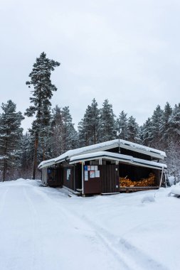 Finlandiya ormanlarında kışın ahşap kulübe