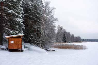 Finlandiya, Rusutjarvi 'nin donmuş gölünde, karlı ormanın kıyısındaki ahşap kulübe.