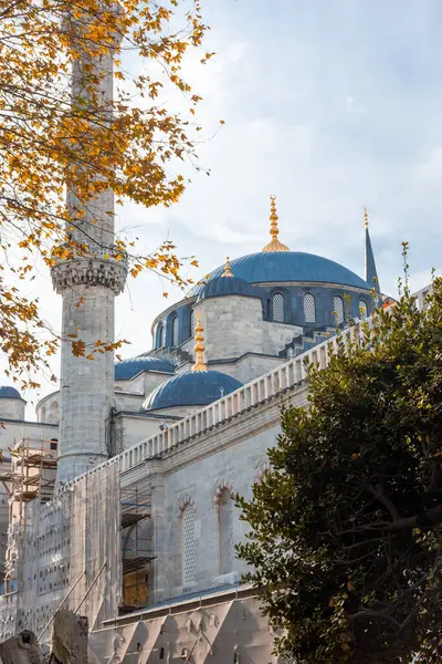 Mavi Cami 'nin Sonbahar manzarası, İstanbul, Türkiye