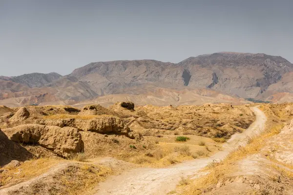 stock image Ruins of Ancient Panjakent, old settlement in Tajikistan