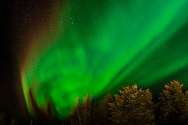 Göz kamaştırıcı yeşil aurora borealis yıldızlı gökyüzünde kırmızı nüanslar, İzlanda 'nın kuzey ışıkları