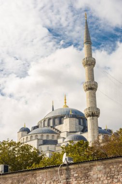İstanbul Mavi Camii, Türkiye