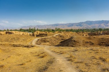 Antik Panjakent kalıntıları, Tacikistan 'daki eski yerleşim yerleri.