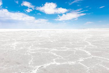 Aral Denizi 'nin beyaz tuzlu bataklık çölü, Özbekistan