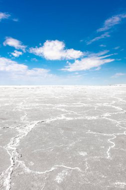 Aral Denizi 'nin beyaz tuzlu bataklık çölü, Özbekistan