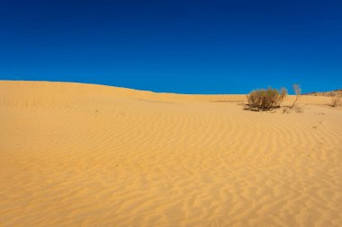 Landscape of the sand dunes of the Kyzylkum Desert, Uzbekistan clipart