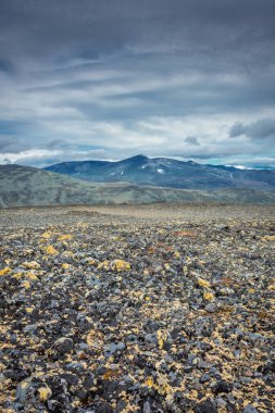 Besseggen Sırtı, Jotunheimen Ulusal Parkı, Norveç 'teki Liçenli Dağ manzarası