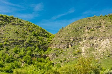 Butuceni, Moldova 'nın yeşil ve yemyeşil kırsalları
