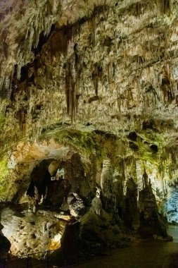 Slovenya 'daki güzel Postojna mağarasını keşfeden Avrupa' nın en çok ziyaret edilen mağarası. Binlerce dikit ve sarkıt.