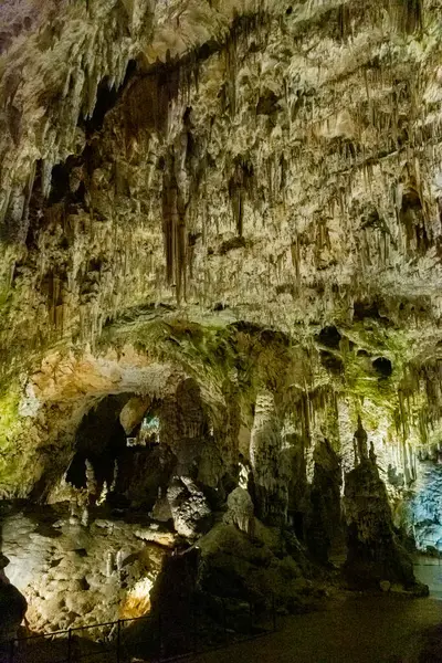 Slovenya 'daki güzel Postojna mağarasını keşfeden Avrupa' nın en çok ziyaret edilen mağarası. Binlerce dikit ve sarkıt.