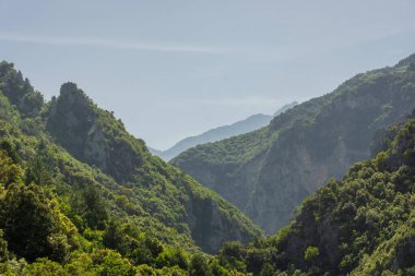 Olimpos Dağı Ormanı, Yunanistan