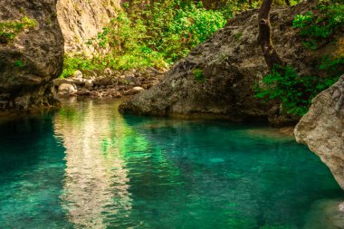 Yunanistan 'ın Olimpos Dağı ormanında kristal berrak doğal kaynak suları ve göl