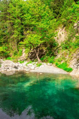 Yunanistan 'ın Olimpos Dağı ormanında kristal berrak doğal kaynak suları ve göl