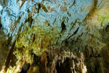Slovenya 'daki güzel Postojna mağarasını keşfeden Avrupa' nın en çok ziyaret edilen mağarası. Binlerce dikit ve sarkıt.
