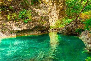 Yunanistan 'ın Olimpos Dağı ormanında kristal berrak doğal kaynak suları ve göl