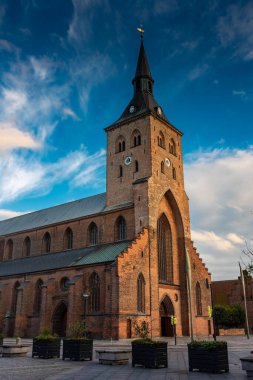 St. Canute Katedrali, Odense, Danimarka