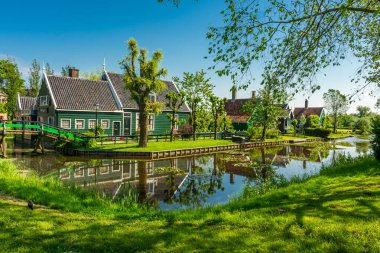 Hollanda 'nın Zaanse Schans kırsalındaki güzel yel değirmenleri