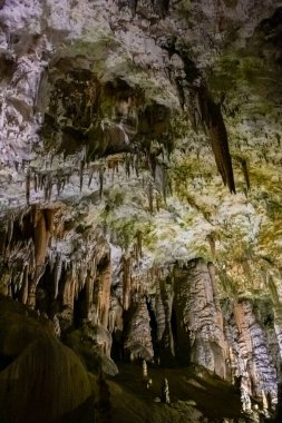Slovenya 'daki güzel Postojna mağarasını keşfeden Avrupa' nın en çok ziyaret edilen mağarası. Binlerce dikit ve sarkıt.