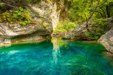 Yunanistan 'ın Olimpos Dağı ormanında kristal berrak doğal kaynak suları ve göl