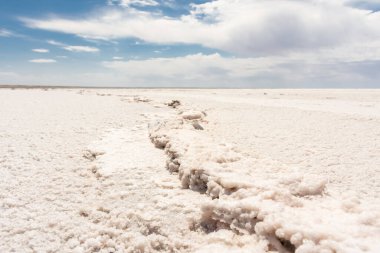 Aral Denizi 'nin beyaz tuzlu bataklık çölü, Özbekistan