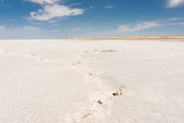 Aral Denizi 'nin beyaz tuzlu bataklık çölü, Özbekistan