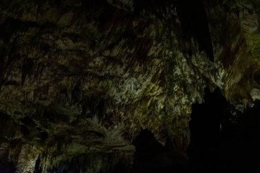 Slovenya 'daki güzel Postojna mağarasını keşfeden Avrupa' nın en çok ziyaret edilen mağarası. Binlerce dikit ve sarkıt.