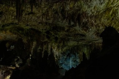 Slovenya 'daki güzel Postojna mağarasını keşfeden Avrupa' nın en çok ziyaret edilen mağarası. Binlerce dikit ve sarkıt.
