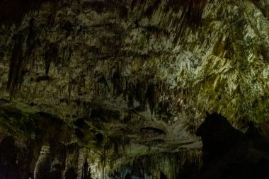 Slovenya 'daki güzel Postojna mağarasını keşfeden Avrupa' nın en çok ziyaret edilen mağarası. Binlerce dikit ve sarkıt.