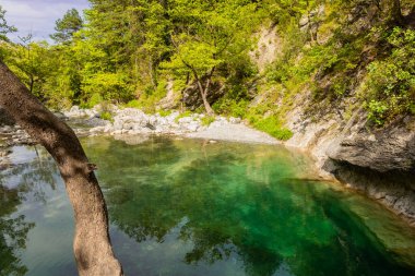 Yunanistan 'ın Olimpos Dağı ormanında kristal berrak doğal kaynak suları ve göl