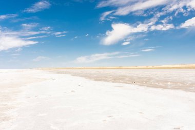 Aral Denizi 'nin beyaz tuzlu bataklık çölü, Özbekistan