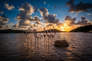 Zvernec bölgesinde flamingo heykelleri ve Vlore, ALBANIA yakınlarındaki Narta Lagoon adasında bir manastır. Yüksek kalite fotoğraf