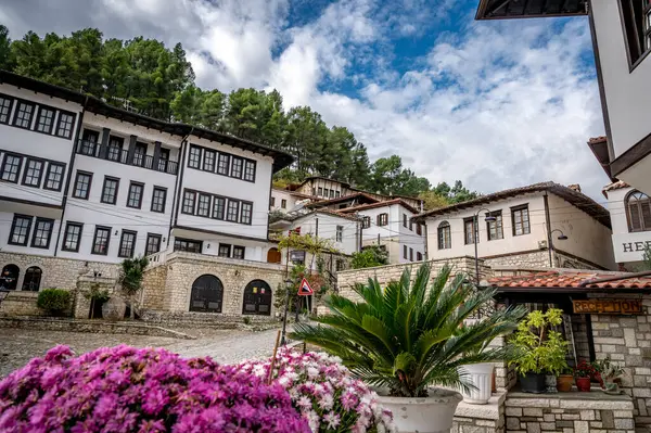 Historické Osmanské Rody Beratu Albánii Nádherný Výhled Cityscape Kvalitní Fotografie — Stock fotografie