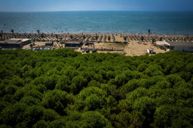 Arnavutluk 'taki Spille plajının çam ormanlı insansız hava aracı görüntüsü. Yüksek kalite fotoğraf