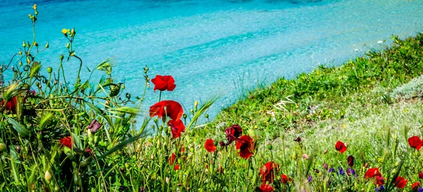 Kum ve deniz, seyahat, deniz manzarası, yaz, tatil konsepti, tasarımınız için yer. Yüksek kalite fotoğraf