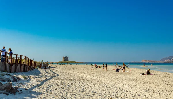 Amazing View Pelosa Beach Island Asinara Background Stintino Sardinia Beautifull — Stock Photo, Image