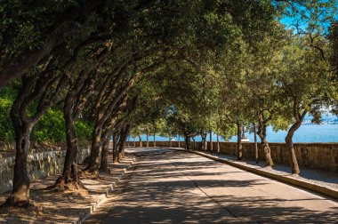 Adriyatik Denizi 'nin üzerindeki Trieste' deki Miramare bahçesi. İtalya. Yüksek kalite fotoğraf