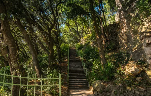 stock image The Miramare garden in Trieste, situated above the Adriatic sea. Italy. High quality photo