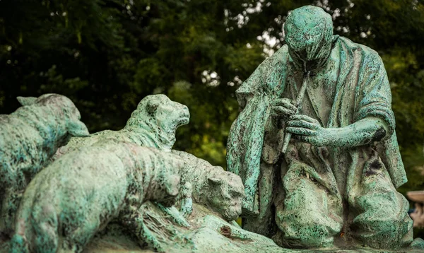 Budapeşte 'deki Erzsebet parkına yakın bir yerde. Yüksek kalite fotoğraf