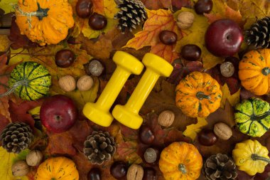 İki sarı halterli kabak, kabak ve kabak, elma, koni, ceviz ve yapraklı kestane. Sağlıklı fitness yaşam tarzı kompozisyonu. Spor salonu spor antrenmanı düz konsepti.